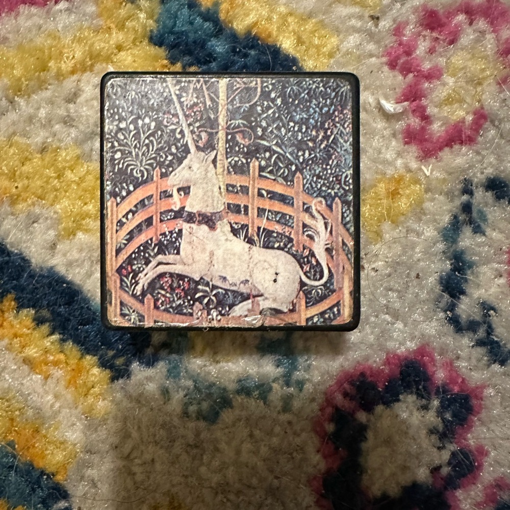 Unicorn in captivity - trinket box